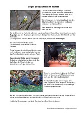 Vögel-beobachten.pdf